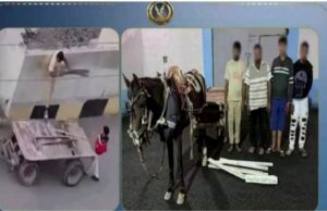 «سرقة السكة الحديد بعربة كارو».. الداخلية تضبط 3 متهمين ومالك مخزن خردة في أبو كبير وتستعيد المسروقات